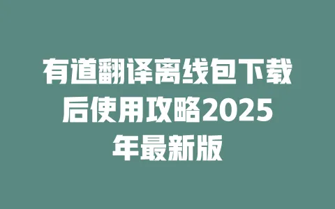 有道翻译离线包下载后使用攻略2025年最新版 一